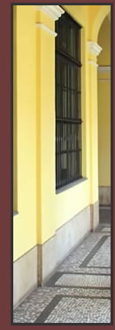 Tierra Agua y Bosques